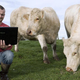A French cattle breeder shares the good news with two members of his herd.